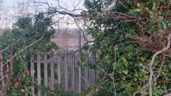 Through a metal fence and some trees, an abandoned, flat concrete lot.