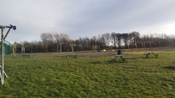 A children's playground, with parked and moving vehicles behind the trees.