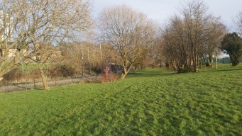A Supertram partially obscured by tree branches. The ground is grass, and a
                         basketball court is in the background.