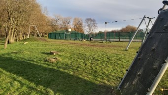 A picture of a park zipwire.